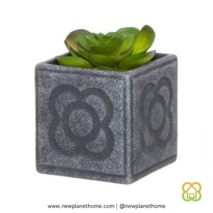 Cactus Maceta Panot L 10x10x10 cm